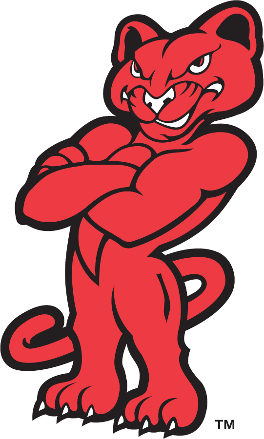 Houston Cougars 1996-2003 Mascot Logo iron on transfers for T-shirts